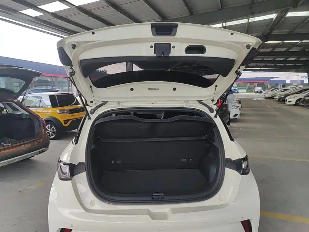 BYD Dolphin — миниатюра 19