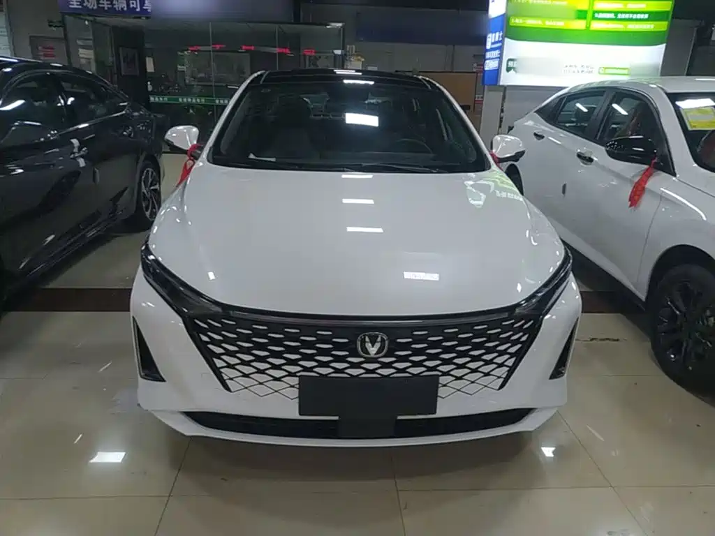 Changan Ruicheng PLUS — миниатюра 3