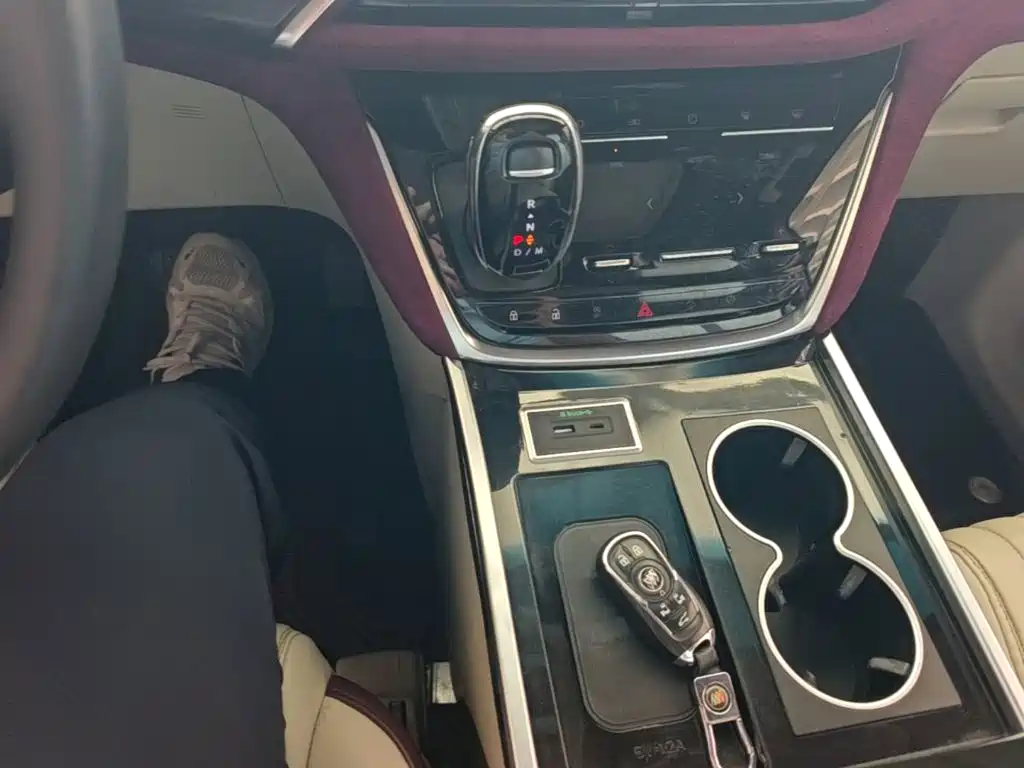 Buick GL8 — миниатюра 14