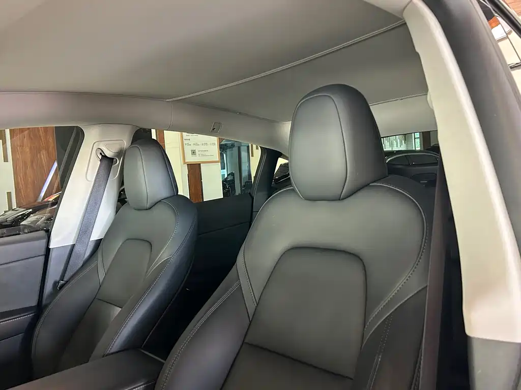 Tesla Model Y — миниатюра 10