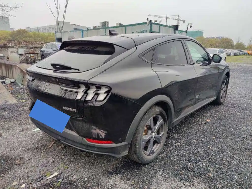 Ford Mustang Mach-E — миниатюра 4