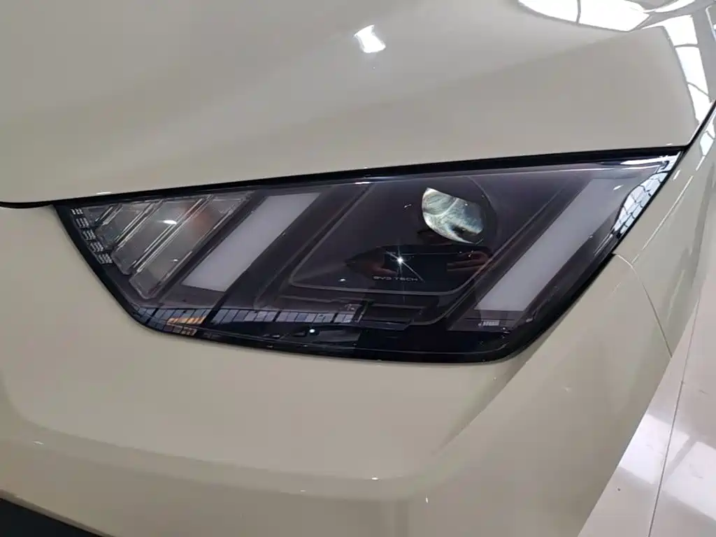 BYD Seagull — миниатюра 24