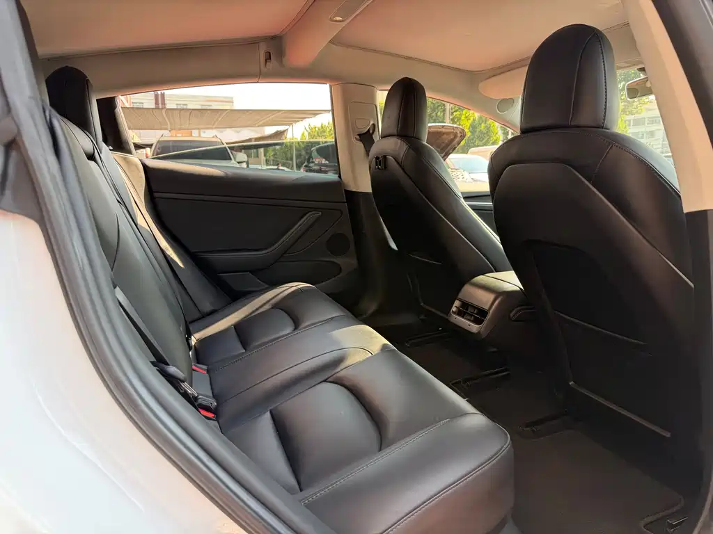 Tesla Model 3 — миниатюра 13