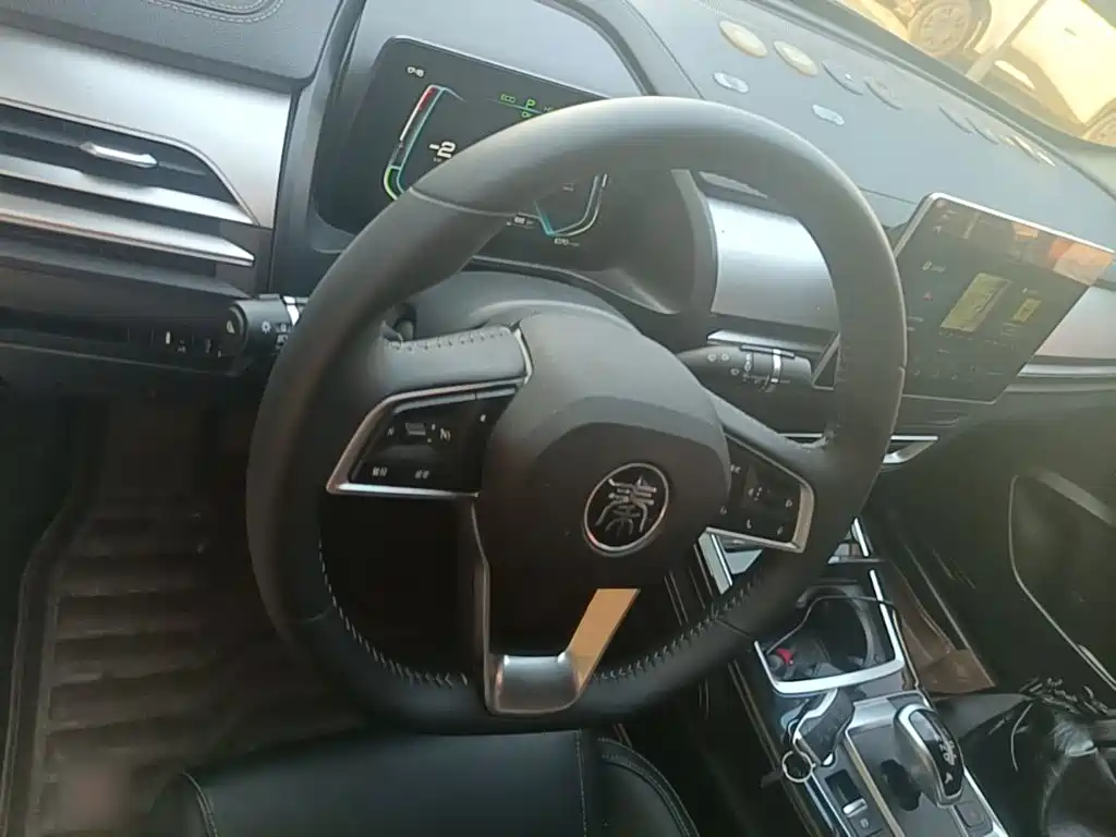 BYD Qin Pro NEV — миниатюра 11
