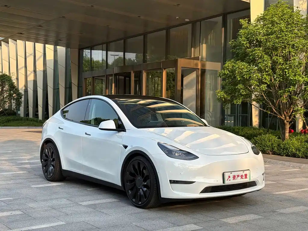 Tesla Model Y — миниатюра 3