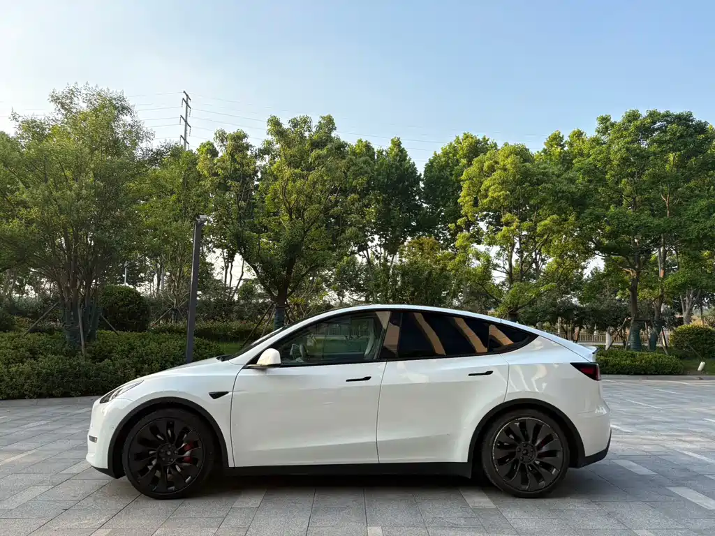 Tesla Model Y — миниатюра 7