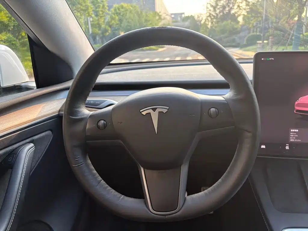 Tesla Model Y — миниатюра 15