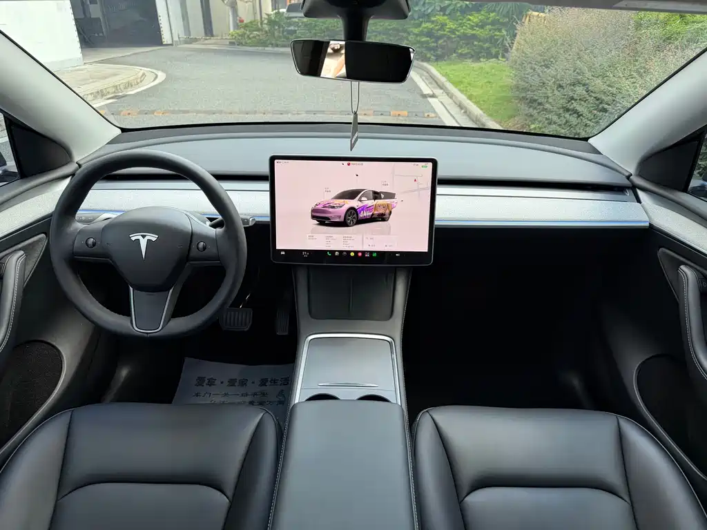 Tesla Model Y — миниатюра 6