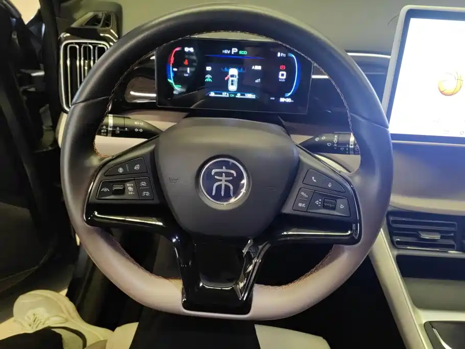 BYD Pro New Energy — миниатюра 15