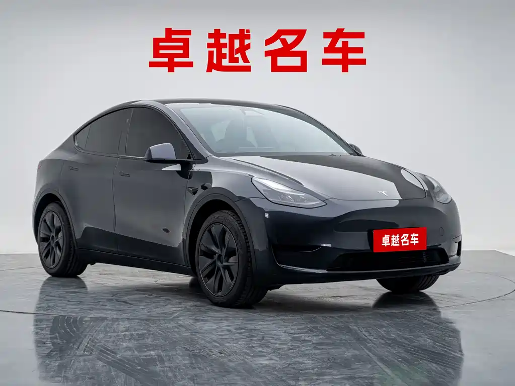 Tesla Model Y — миниатюра 3