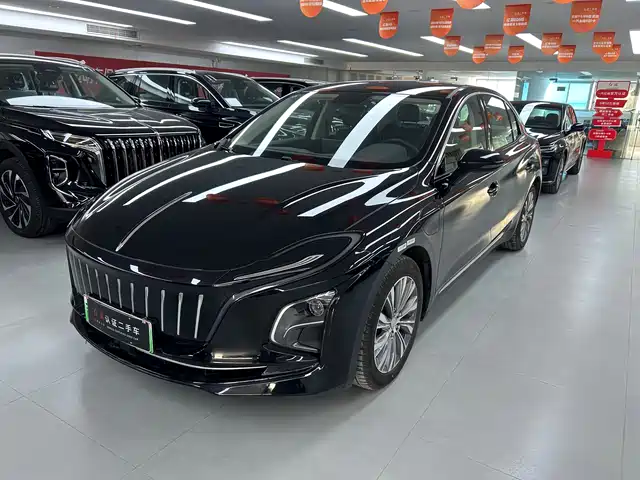 Hongqi HONGQI E QM5 2024