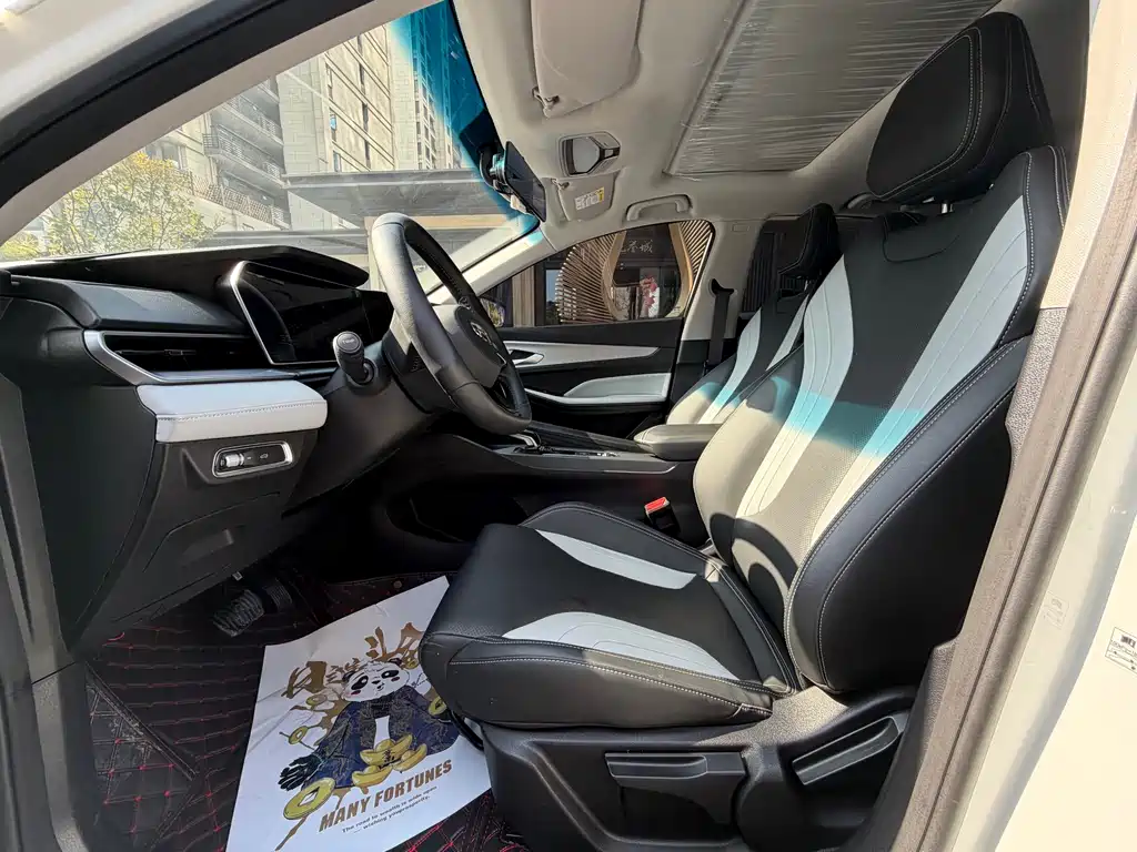 GEELY AUTOMOBILE BINRUI