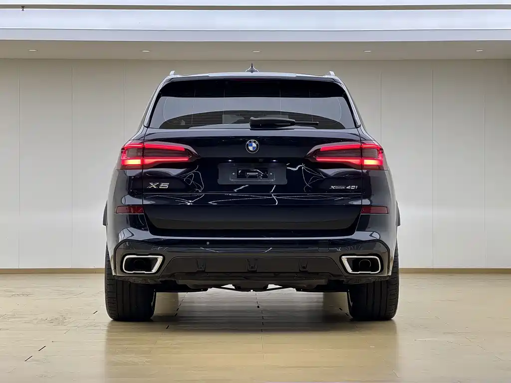 BMW X5 (Import) — миниатюра 20