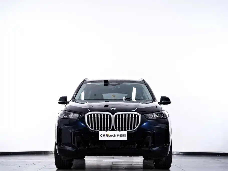 BMW X5 — миниатюра 4