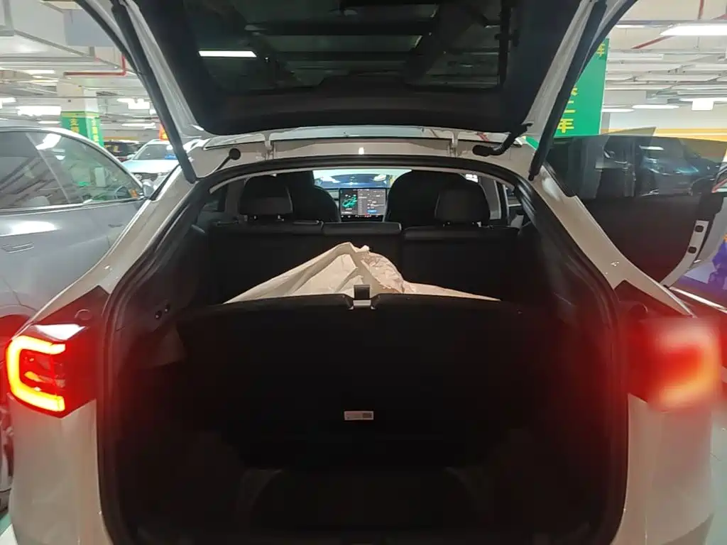 Tesla Model Y — миниатюра 19