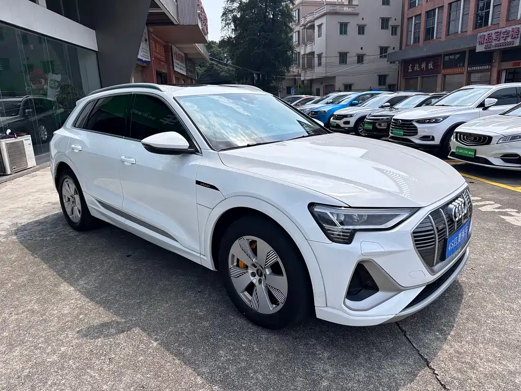 Audi e-tron — миниатюра 3