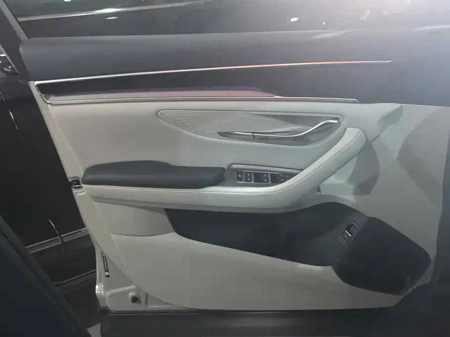 BYD PLUS New Energy — миниатюра 7