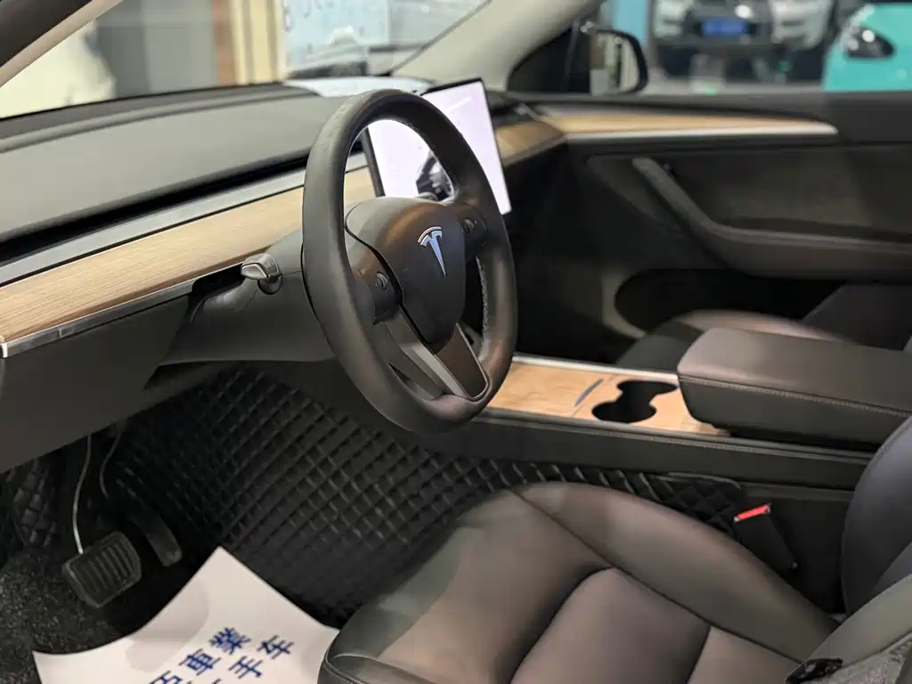 Tesla Model Y — миниатюра 4
