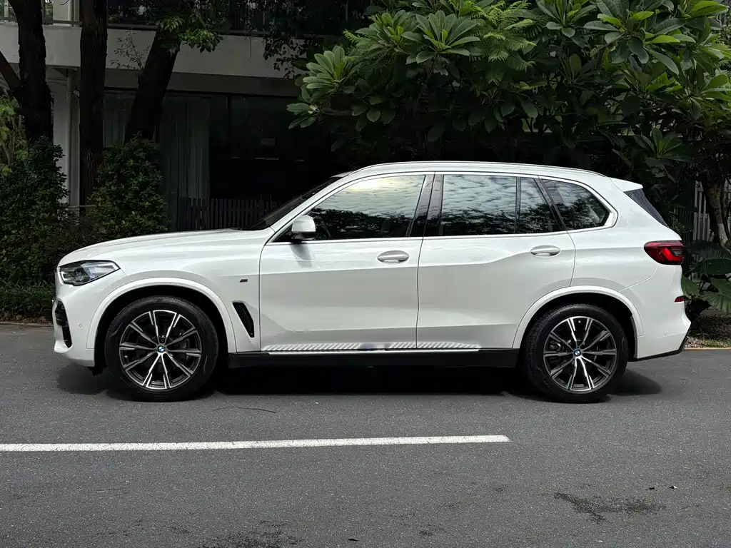 BMW X5 (Import) — миниатюра 2