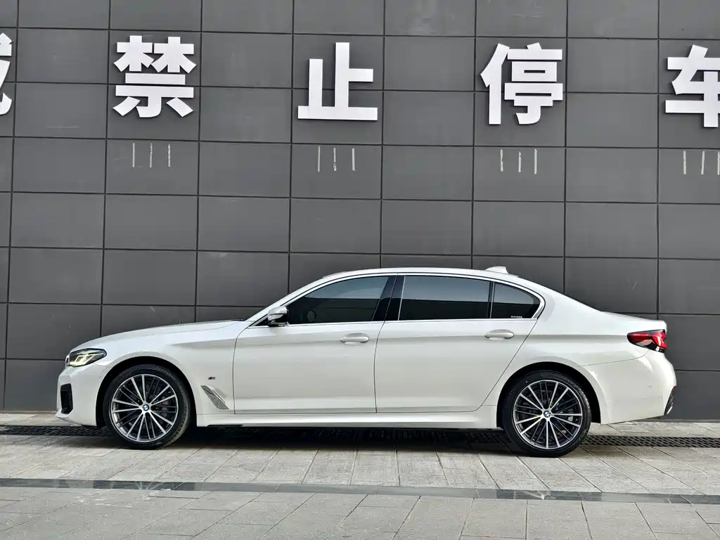 BMW 5 Series — миниатюра 5