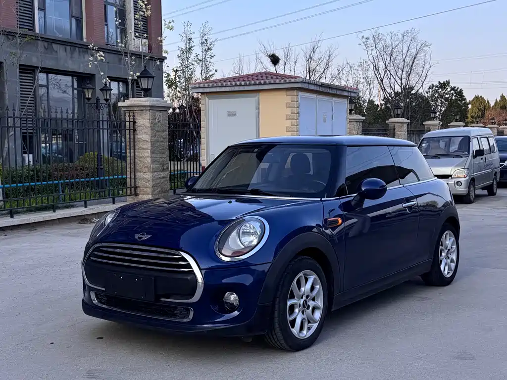 Mini Mini 2014