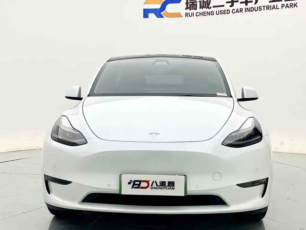 Tesla Model Y — миниатюра 2