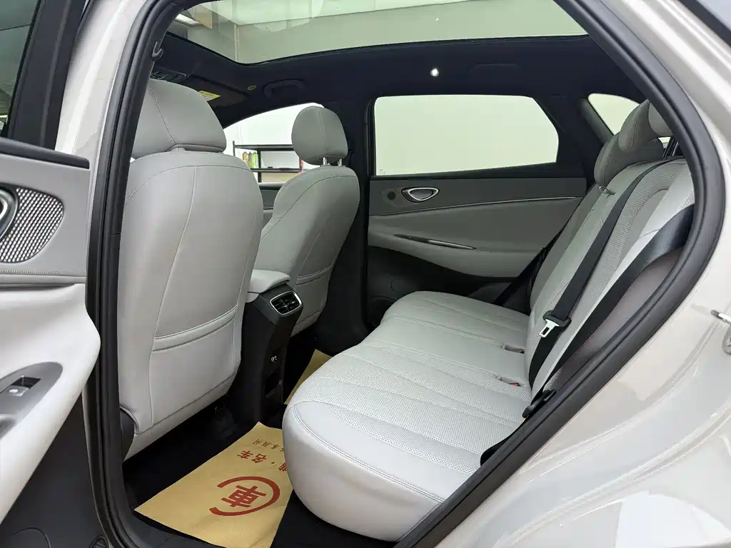 BYD Haisi 06 — миниатюра 6