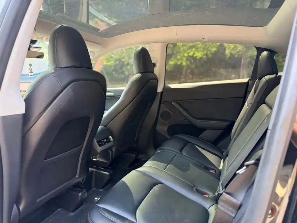 Tesla Model Y — миниатюра 9