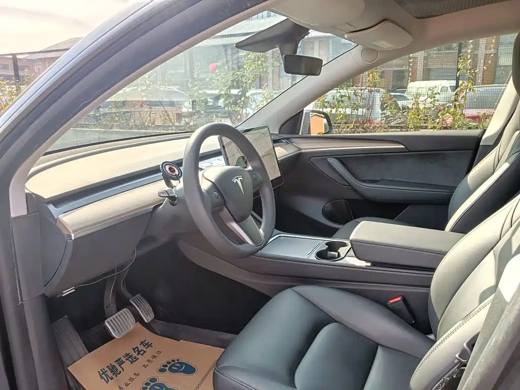 Tesla Model Y — миниатюра 14