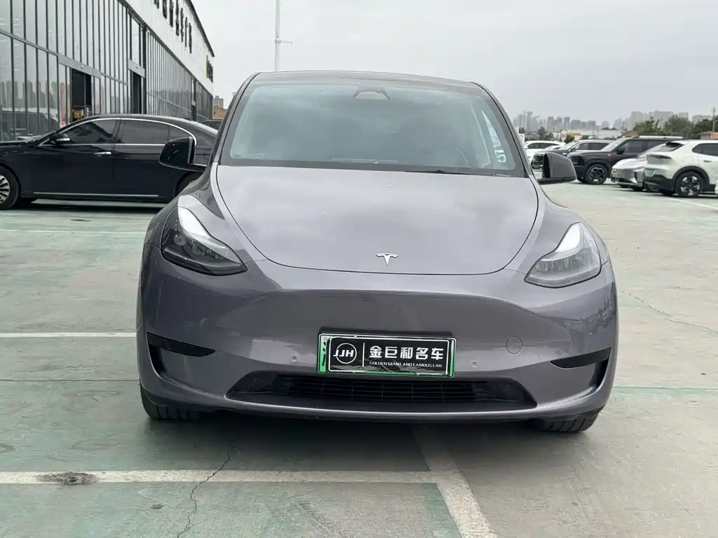 Tesla Model Y — миниатюра 2