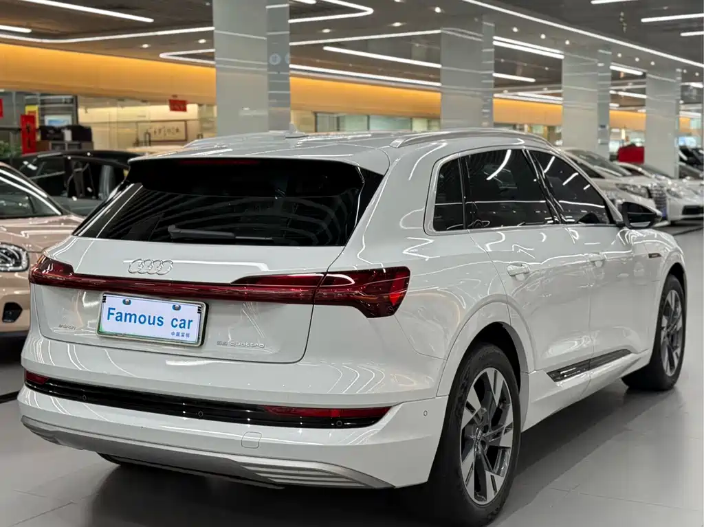 Audi e-tron (Import) — миниатюра 5