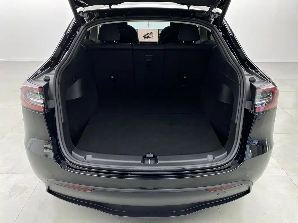 Tesla Model Y — миниатюра 3