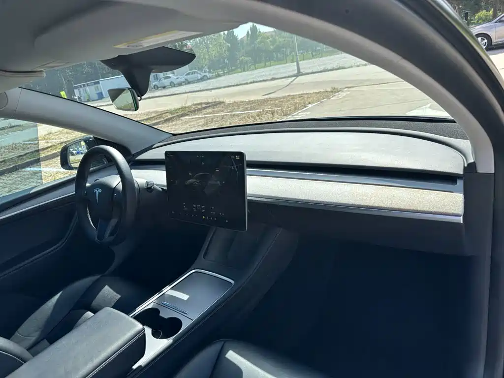 Tesla Model Y — миниатюра 17