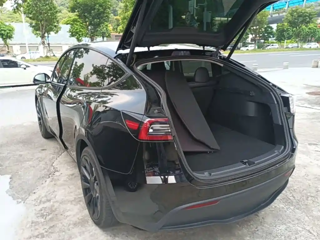 Tesla Model Y — миниатюра 5