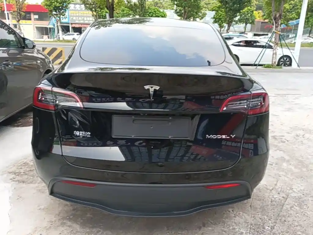 Tesla Model Y — миниатюра 6