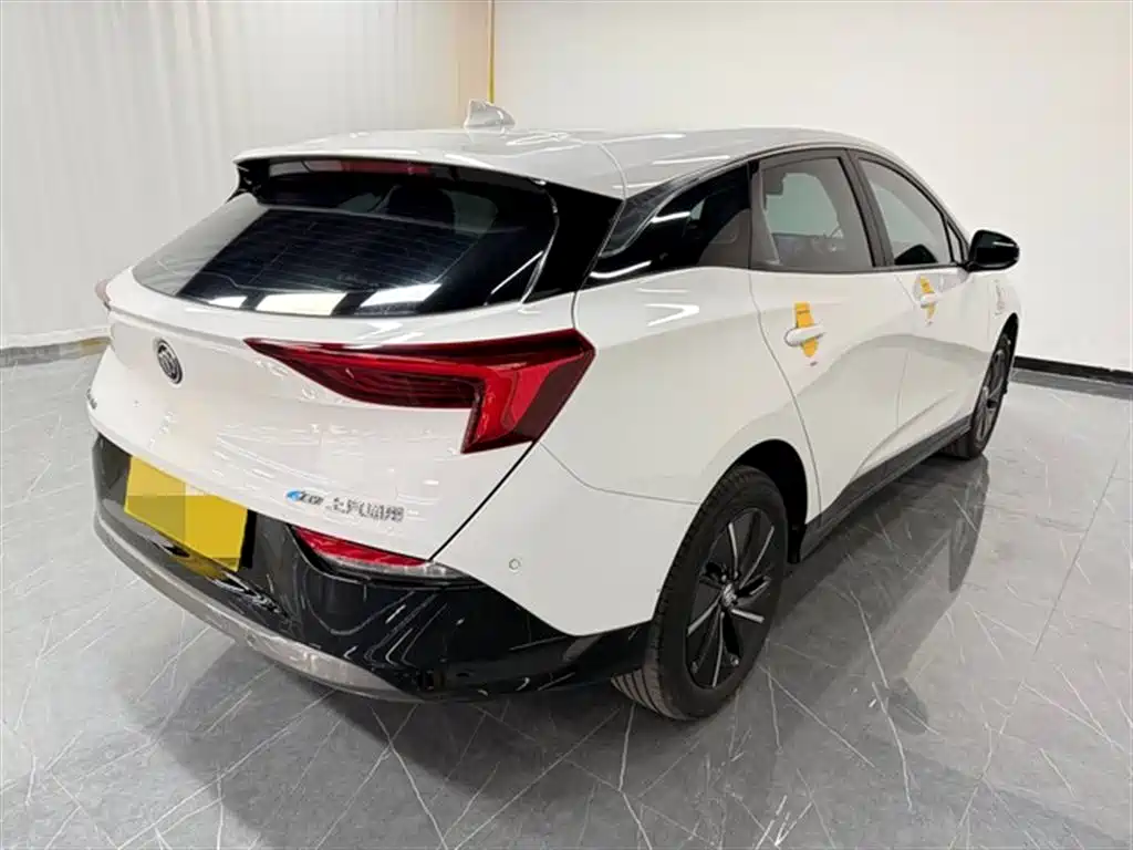 BUICK SLIGHTLY BLUE 6