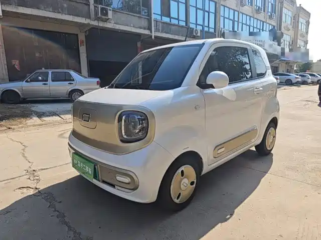 2024 Bestune Pony