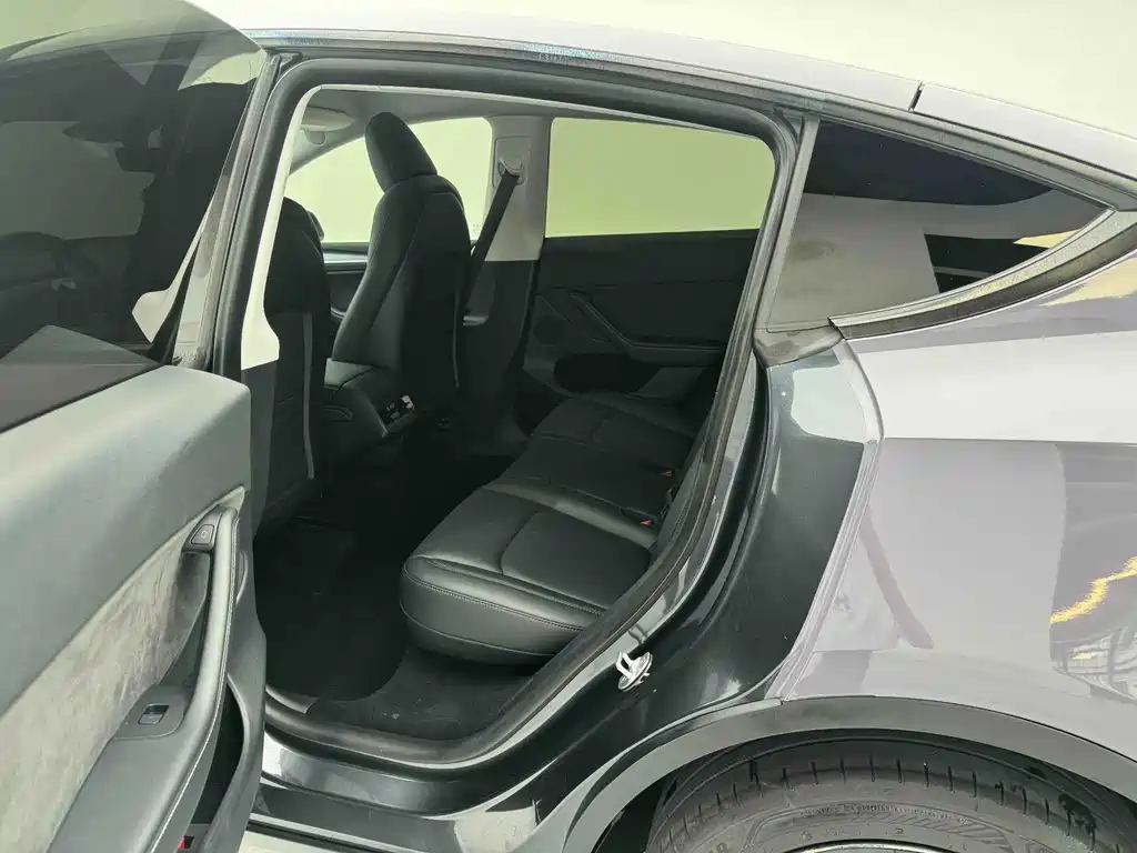 Tesla Model Y — миниатюра 14