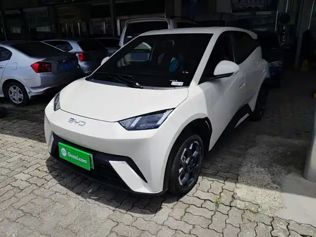 2025 BYD Seagull