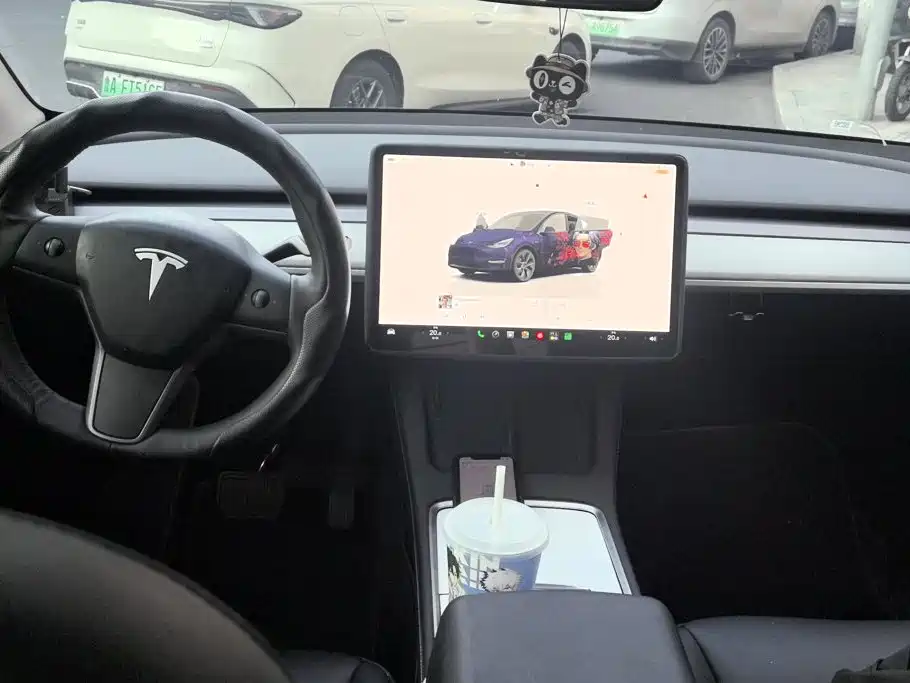 Tesla Model Y — миниатюра 12