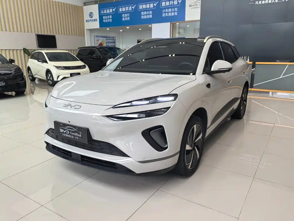 BYD Sea Lion 06