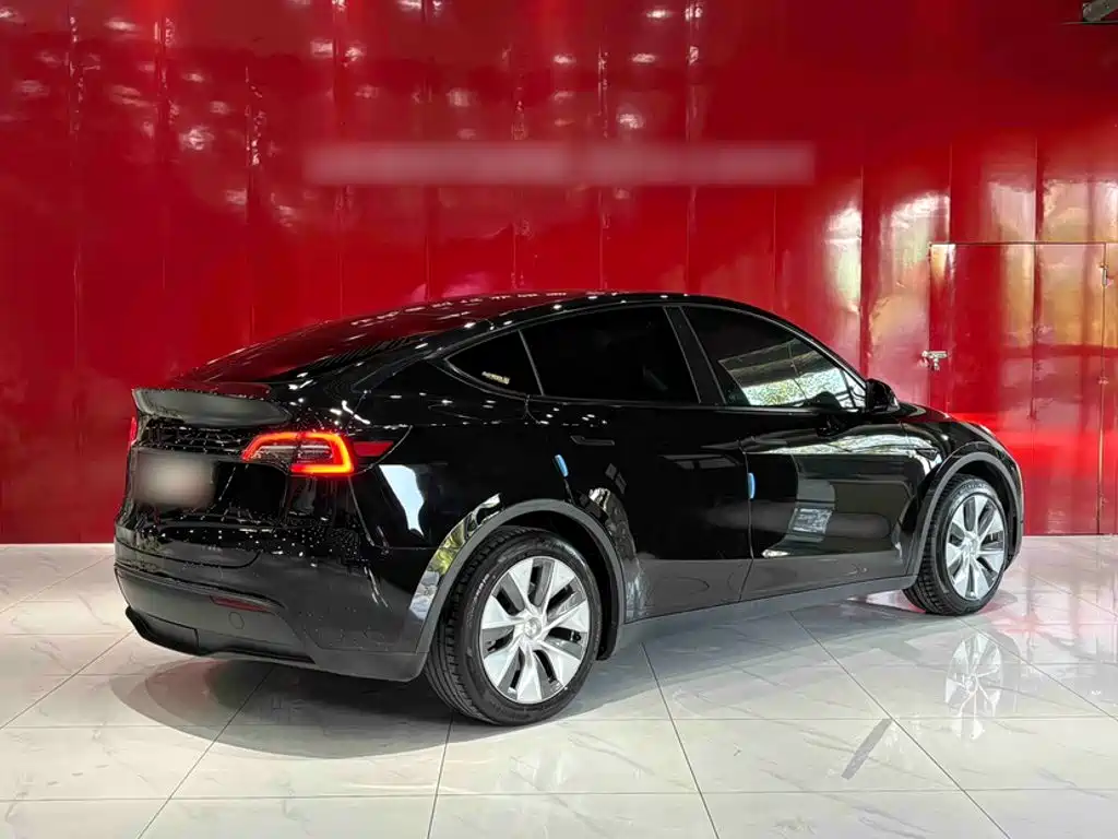 Tesla Model Y — миниатюра 5