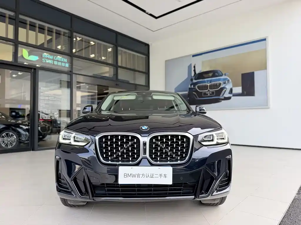 BMW X4 — миниатюра 3