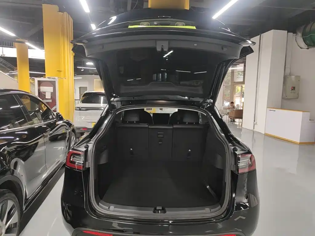 Tesla Model Y — миниатюра 19