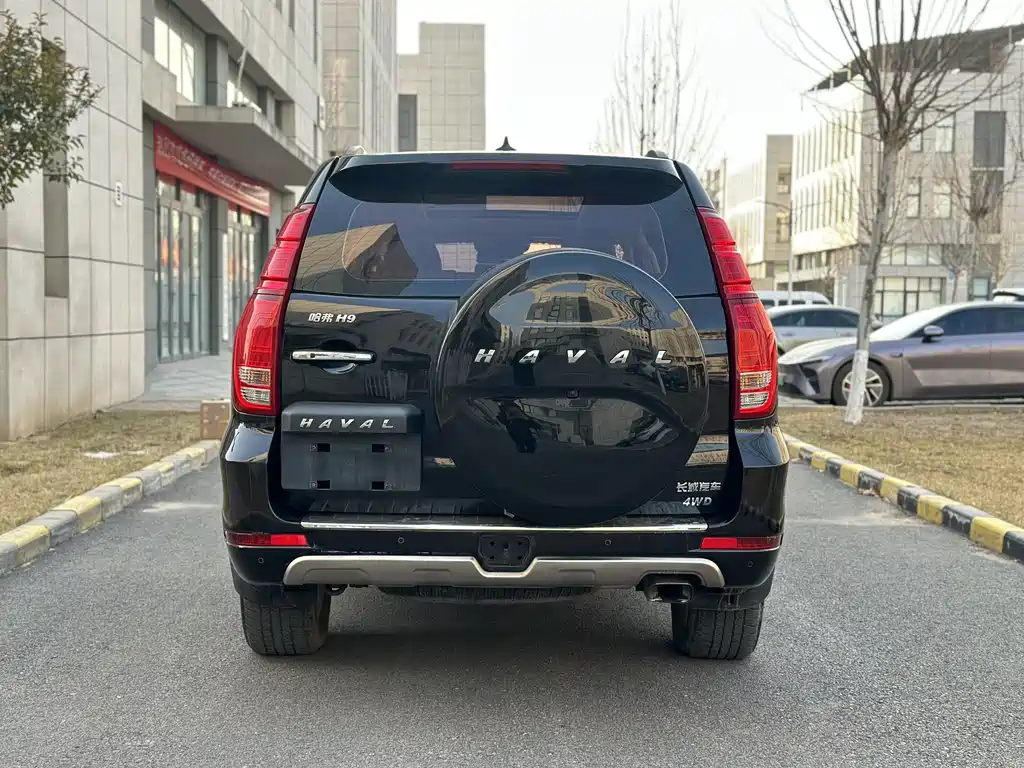 Haval H9 2.0T Gasoline 4WD Premium Type 7 seats, фото 5
