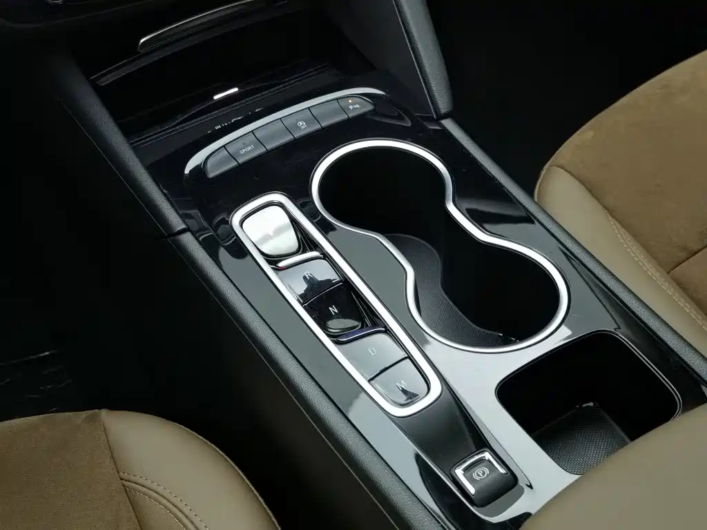 Buick Regal — миниатюра 13