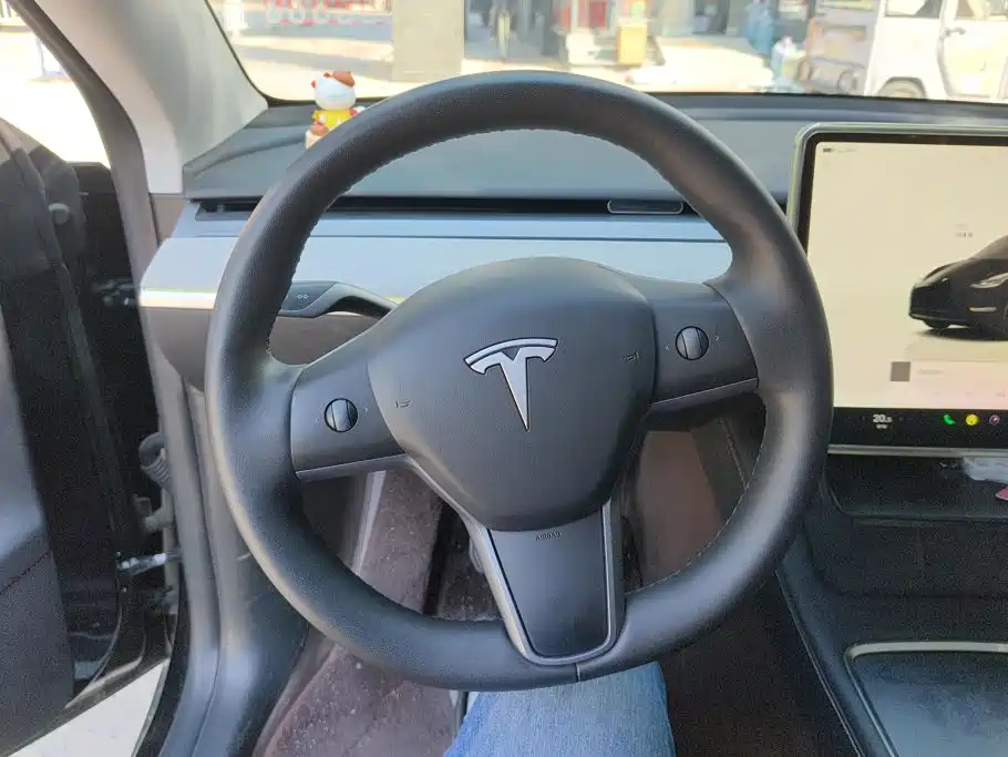 Tesla Model Y — миниатюра 15