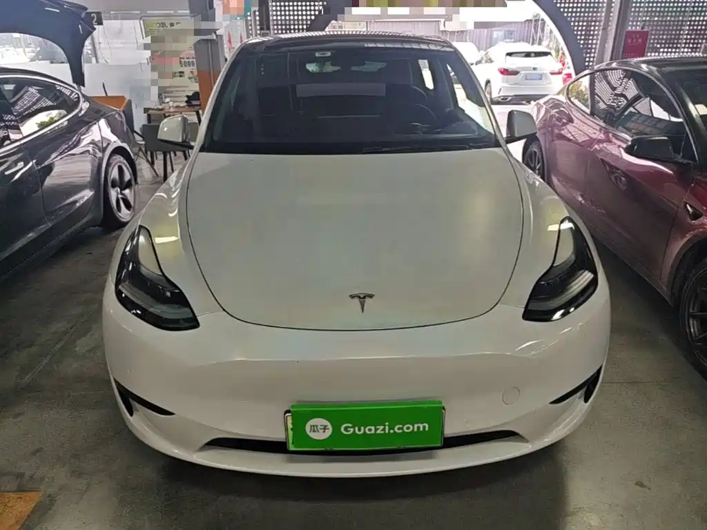 Tesla Model Y — миниатюра 3