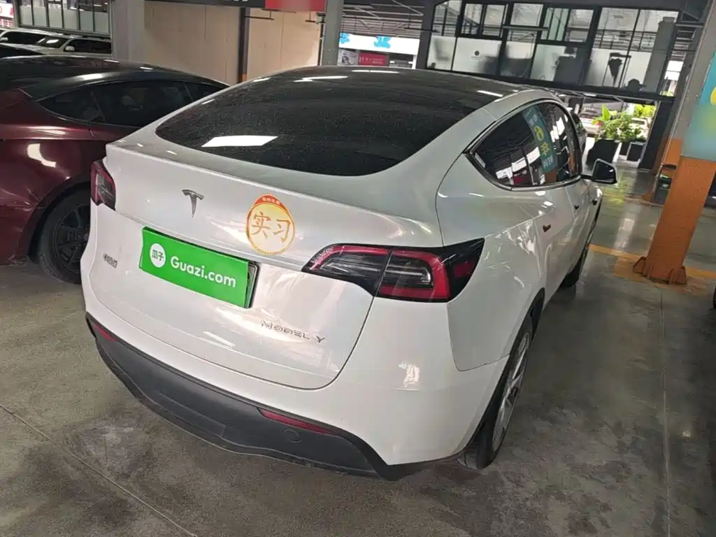 Tesla Model Y — миниатюра 7