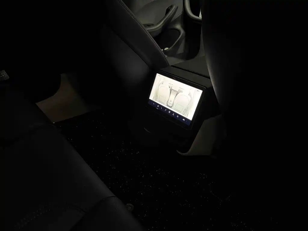 Tesla Model 3 — миниатюра 7